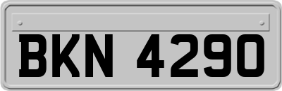 BKN4290