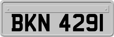 BKN4291