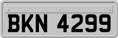 BKN4299