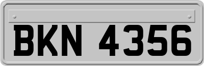 BKN4356