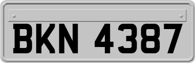 BKN4387