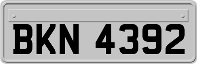 BKN4392