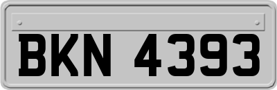 BKN4393