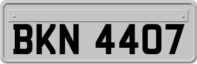 BKN4407