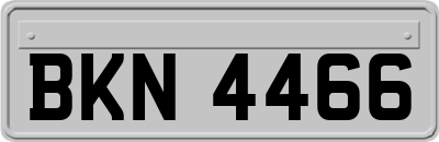 BKN4466