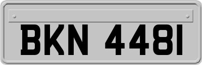 BKN4481