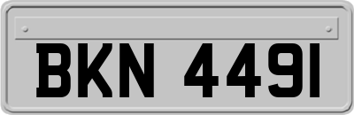 BKN4491