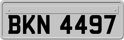 BKN4497