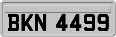 BKN4499