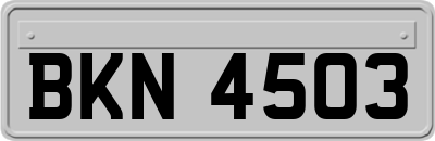 BKN4503