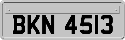 BKN4513