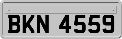 BKN4559
