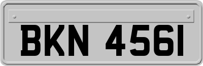 BKN4561