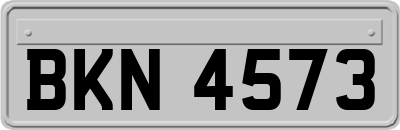 BKN4573