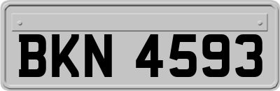 BKN4593