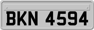 BKN4594