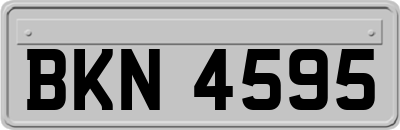 BKN4595