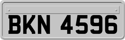 BKN4596