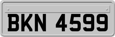 BKN4599