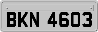 BKN4603