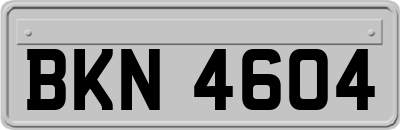 BKN4604