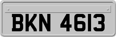 BKN4613