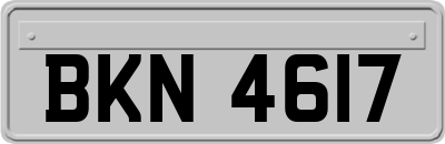 BKN4617