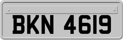 BKN4619