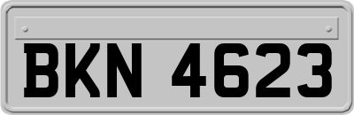 BKN4623