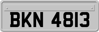 BKN4813