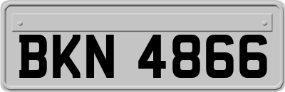BKN4866