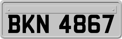 BKN4867