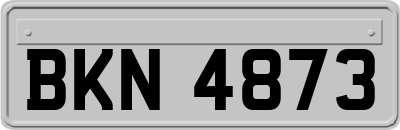 BKN4873