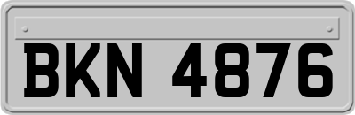 BKN4876