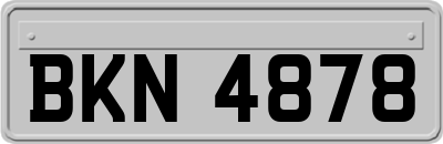 BKN4878