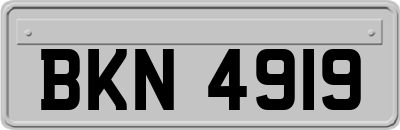 BKN4919