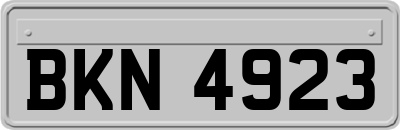 BKN4923
