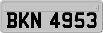 BKN4953