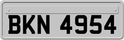 BKN4954