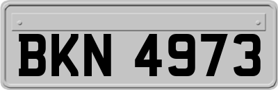 BKN4973