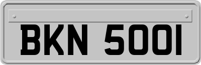 BKN5001