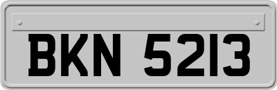 BKN5213
