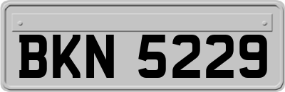 BKN5229