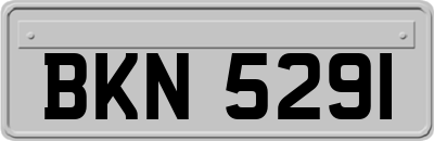 BKN5291