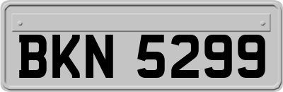 BKN5299