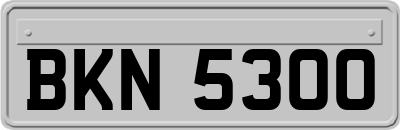 BKN5300