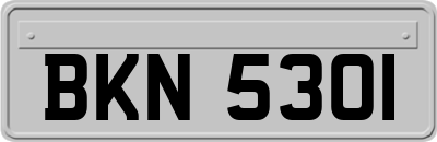 BKN5301