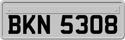 BKN5308