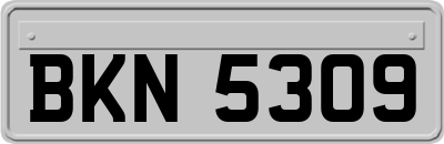 BKN5309