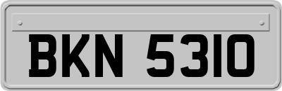 BKN5310